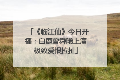 《临江仙》今日开播：白鹿曾舜晞上演极致爱恨拉扯