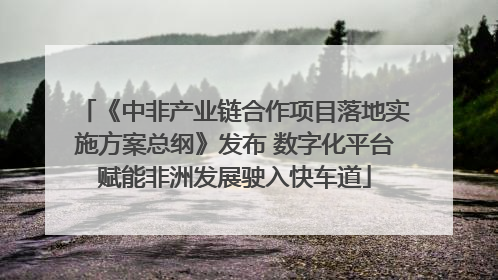 《中非产业链合作项目落地实施方案总纲》发布 数字化平台赋能非洲发展驶入快车道