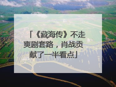 《藏海传》不走爽剧套路，肖战贡献了一半看点