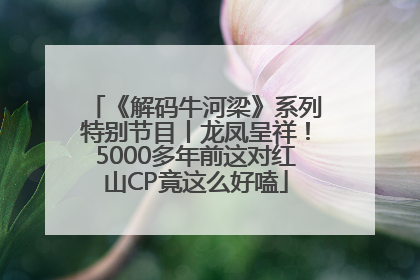 《解码牛河梁》系列特别节目丨龙凤呈祥！5000多年前这对红山CP竟这么好嗑