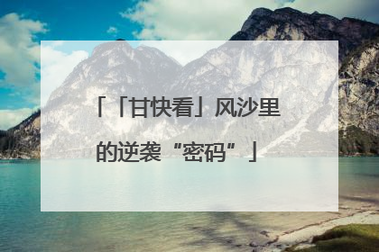「甘快看」风沙里的逆袭“密码”