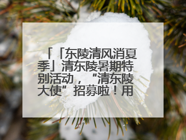 「东陵清风消夏季」清东陵暑期特别活动，“清东陵大使”招募啦！用你的热爱守护世界遗产！