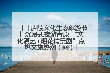 「庐陵文化生态旅游节」沉浸式夜游青原 “文化演艺+烟花情景剧”点燃文旅热潮（图）