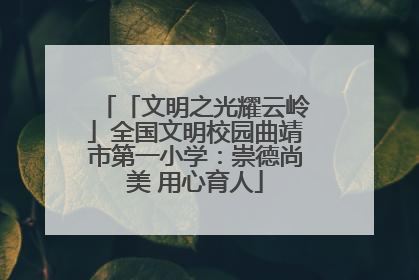 「文明之光耀云岭」全国文明校园曲靖市第一小学：崇德尚美 用心育人