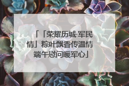 「荣耀历城·军民情」粽叶飘香传温情 端午慰问暖军心