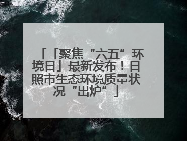 「聚焦“六五”环境日」最新发布！日照市生态环境质量状况“出炉”