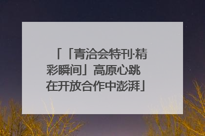 「青洽会特刊·精彩瞬间」高原心跳 在开放合作中澎湃