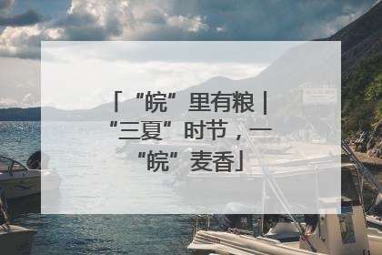 “皖”里有粮｜“三夏”时节，一“皖”麦香