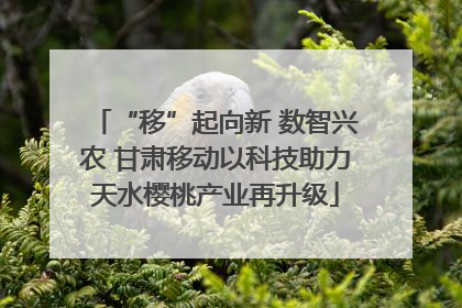 “移”起向新 数智兴农 甘肃移动以科技助力天水樱桃产业再升级
