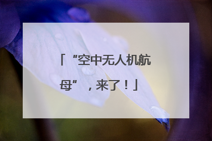 “空中无人机航母”，来了！