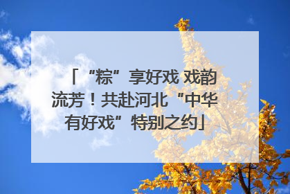“粽”享好戏 戏韵流芳！共赴河北“中华有好戏”特别之约