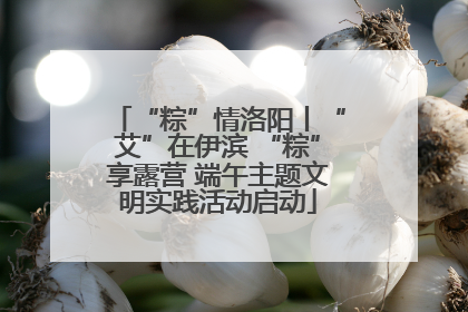 “粽”情洛阳丨“艾”在伊滨 “粽”享露营 端午主题文明实践活动启动