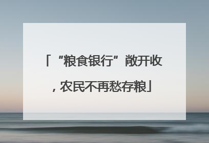 “粮食银行”敞开收，农民不再愁存粮
