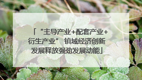 “主导产业+配套产业+衍生产业” 镇域经济创新发展释放强劲发展动能