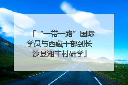 “一带一路”国际学员与西藏干部到长沙县湘丰村研学