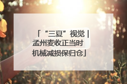 “三夏”视觉｜孟州麦收正当时 机械减损保归仓