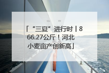 “三夏”进行时丨866.27公斤！河北小麦亩产创新高