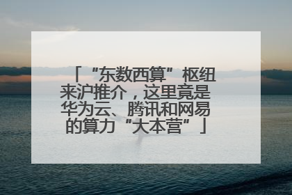 “东数西算”枢纽来沪推介，这里竟是华为云、腾讯和网易的算力“大本营”