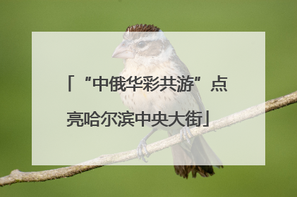 “中俄华彩共游”点亮哈尔滨中央大街