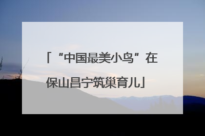 “中国最美小鸟”在保山昌宁筑巢育儿
