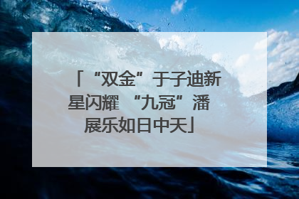 “双金”于子迪新星闪耀 “九冠”潘展乐如日中天
