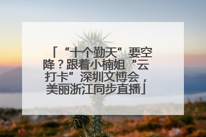 “十个勤天”要空降？跟着小楠姐“云打卡”深圳文博会，美丽浙江同步直播