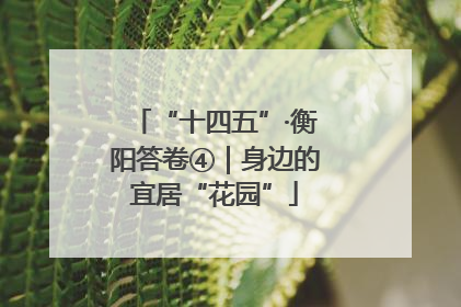 “十四五”·衡阳答卷④｜身边的宜居“花园”