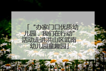 “办家门口优质幼儿园，我们在行动”活动走进洪山区武南幼儿园童趣园