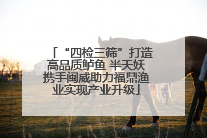 “四检三筛”打造高品质鲈鱼 半天妖携手闽威助力福鼎渔业实现产业升级