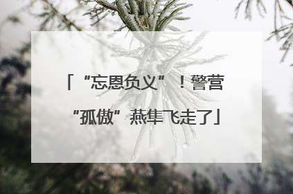 “忘恩负义”！警营“孤傲”燕隼飞走了