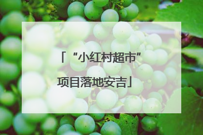 “小红村超市”项目落地安吉