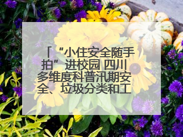 “小住安全随手拍”进校园 四川多维度科普汛期安全、垃圾分类和工地安全