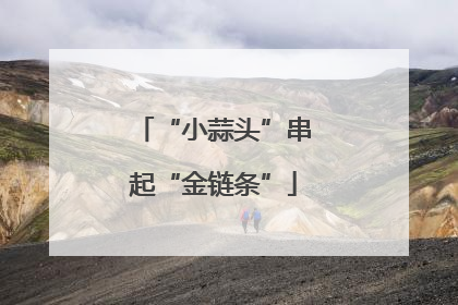 “小蒜头”串起“金链条”