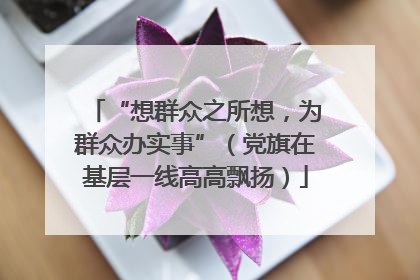 “想群众之所想，为群众办实事”（党旗在基层一线高高飘扬）