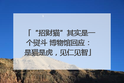 “招财猫”其实是一个熨斗 博物馆回应：是猫是虎，见仁见智