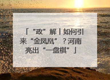 “政”解丨如何引来“金凤凰”？河南亮出“一盘棋”