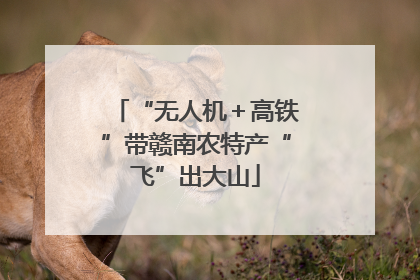 “无人机＋高铁”带赣南农特产“飞”出大山