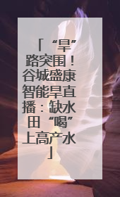 “旱”路突围！谷城盛康智能旱直播：缺水田“喝”上高产水