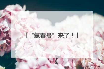 “氢春号”来了！