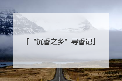 “沉香之乡”寻香记
