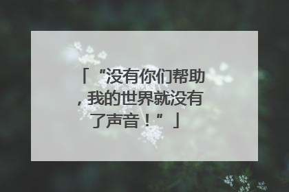 “没有你们帮助，我的世界就没有了声音！”