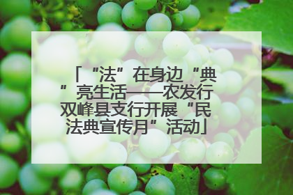 “法”在身边“典”亮生活——农发行双峰县支行开展“民法典宣传月”活动