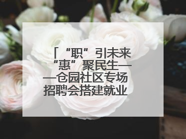 “职”引未来“惠”聚民生——仓园社区专场招聘会搭建就业“暖心桥”