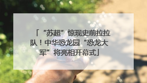 “苏超”惊现史前拉拉队！中华恐龙园“恐龙大军”将亮相开幕式
