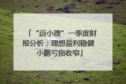 “蔚小理”一季度财报分析：理想盈利稳健 小鹏亏损收窄