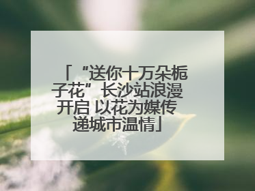 “送你十万朵栀子花”长沙站浪漫开启 以花为媒传递城市温情