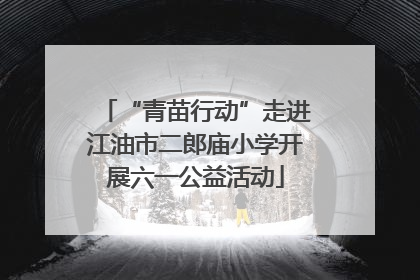 “青苗行动”走进江油市二郎庙小学开展六一公益活动