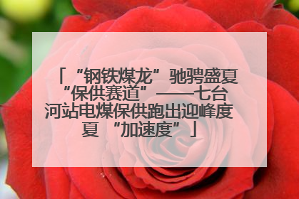“钢铁煤龙”驰骋盛夏 “保供赛道”——七台河站电煤保供跑出迎峰度夏 “加速度”