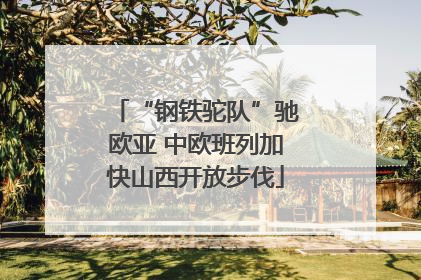 “钢铁驼队”驰欧亚 中欧班列加快山西开放步伐