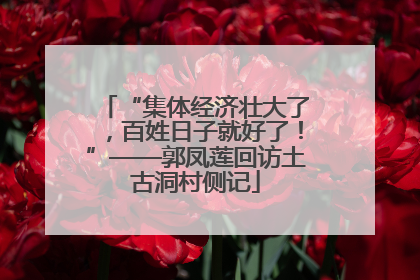 “集体经济壮大了，百姓日子就好了！”——郭凤莲回访土古洞村侧记